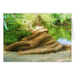 Creepy Tree Trunk cards