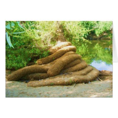 Creepy Tree Trunk Greeting Cards by JuJuGardens