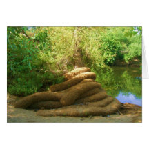 Creepy Tree Trunk Greeting Cards