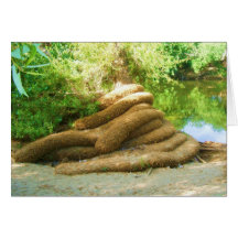 Creepy Tree Trunk Greeting Cards