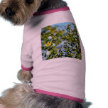 Creosote Bush In The Desert pet clothing