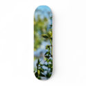Creosote Bush In The Desert skateboards