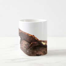 Crested Gecko Resting Mugs