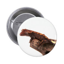 Crested Gecko Resting Pinback Buttons