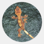 Crested Gecko Sticker