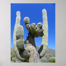 Crested Saguaro Posters