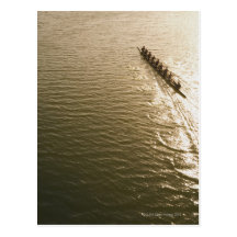 Crew Team Postcard