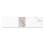 Cricket Bowler Bumper Sticker