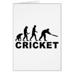 Cricket Evolution cards