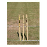 Cricket ground at Bickleigh, Devon, UK Post Card