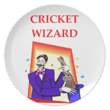 cricket party plate
