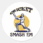 cricket player batsman batting retro style round sticker