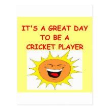 CRICKET POST CARD