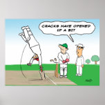 Cricket Wicket - Funny Cricket posters