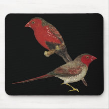 Crimson Finch (black-bellied) Pair Mouse Pads