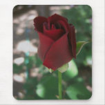Crimson Red Rose Mousepads