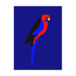 Crimson Rosala - Australian Parrot Post Card