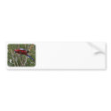 Crimson Rosella 9Y209D-192 bumper stickers
