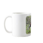 Crimson Rosella 9Y520D-062 Mugs