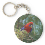 Crimson Rosella keychains