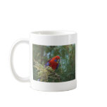 Crimson Rosella mugs