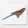 Crimson Rosella - Platycerus elegans Mouse Pad