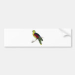 Crimson-Winged Parrakeet (Male adult) by Edward Le Bumper Stickers