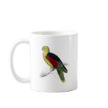 Crimson-Winged Parrakeet (Male adult) by Edward Le mugs