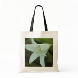 Crinum Lily ~ White bags