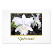 Crisp White Orchids in a Shady Garden  Invite