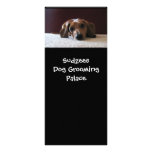 crockettsperfectpic, Sudzees Dog Grooming Palace rack cards