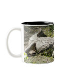 Crocodile Coffee Mug