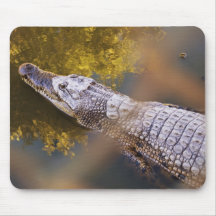 Crocodile in a Breeding Farm Mousepad