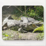 Crocodile Mouse Pad