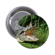 Crocodile Pinback Buttons