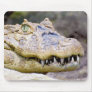 Crocodile Smile Mousepad