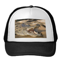 crocodile trucker hat