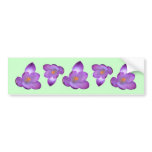 Crocus 1, Crocus 1, Crocus 1, Crocus 1, Crocus 1 Bumper Stickers