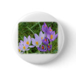 Crocus 8P031D-14 buttons
