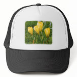 Crocus 8P33D-15 hats