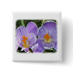 Crocus 8P76D-20 buttons