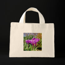 Crocus again bags