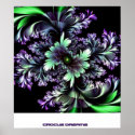 crocus dreams posters