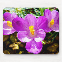 CROCUS mousepads
