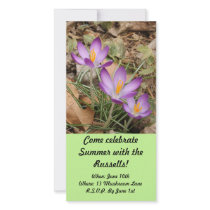 Crocus Photo Card