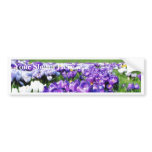 Crocuses Blue Bumper Stickers
