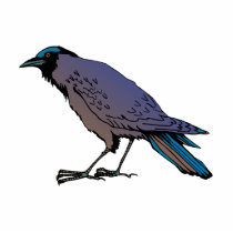 Cromulus Crow Photo Cutout
