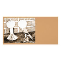 Cropper:  Voorburg Pair Picture Card
