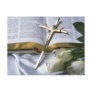 Cross & Bible Postcard