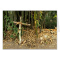 cross leaning on bamboo cards